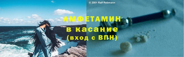гидра Аркадак