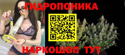 ALPHA PVP Заволжье