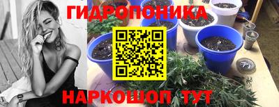 ALPHA PVP Заволжье