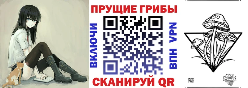 цена наркотик  Строитель  Псилоцибиновые грибы мицелий 