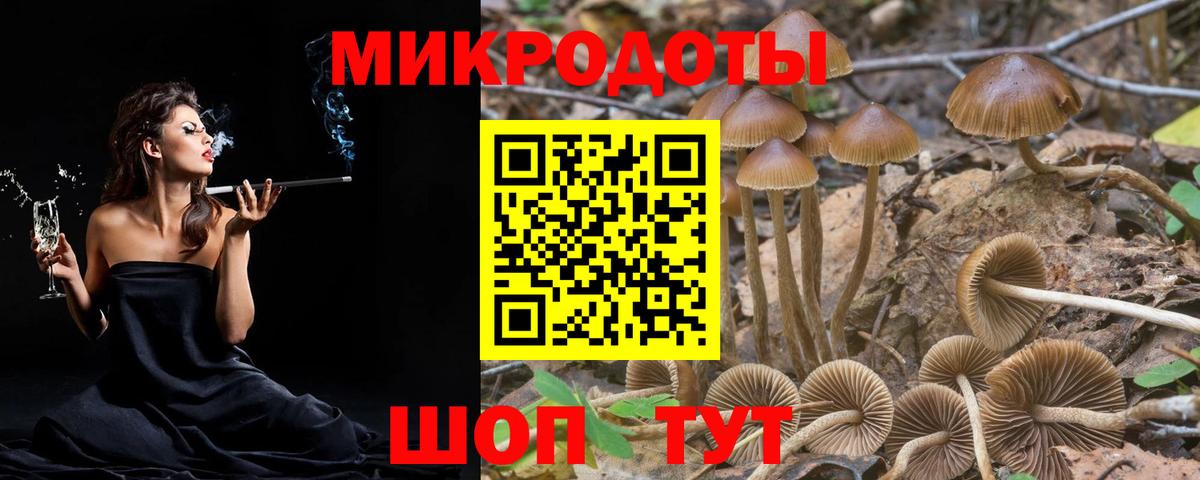 Галлюциногенные грибы прущие грибы  Вход с VPN  Строитель 