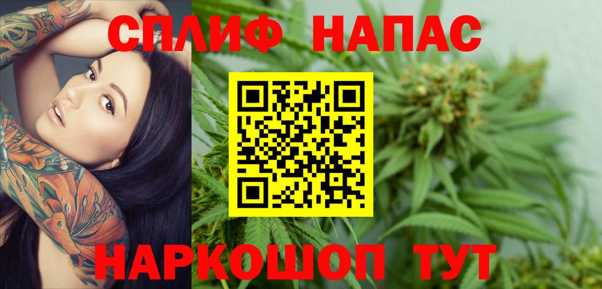 Канабис Bruce Banner  Канабис индика  Вход с VPN  Марихуана AK-47  Строитель 